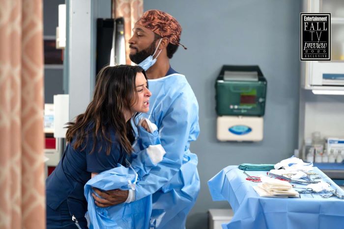 Greys-Anatomy-plot
